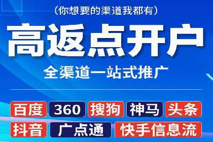 成功SEM竞价托管案例分析报告